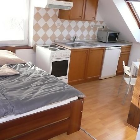 Apartments U Cara 捷克布杰约维采 客房 照片