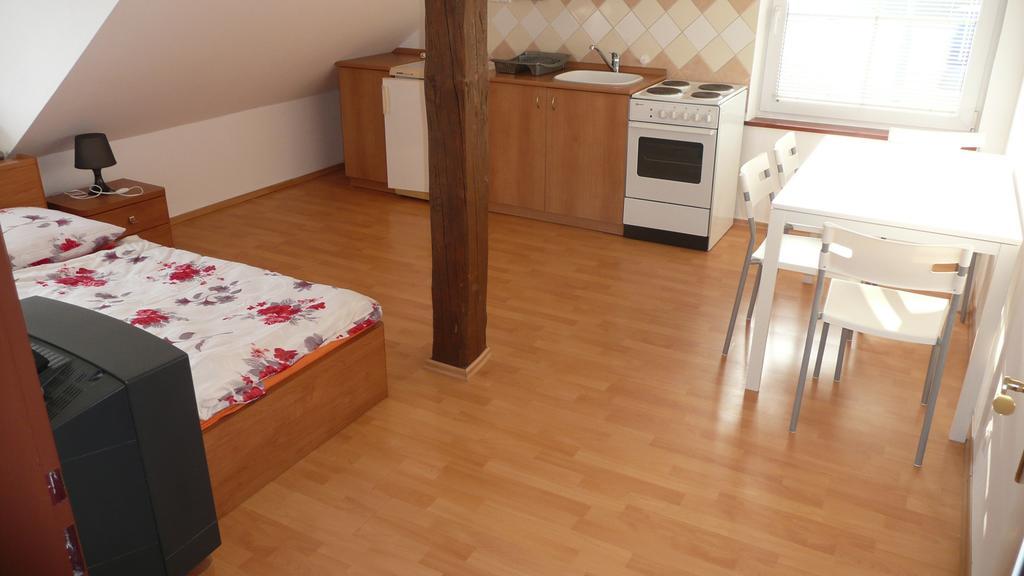 Apartments U Cara 捷克布杰约维采 客房 照片