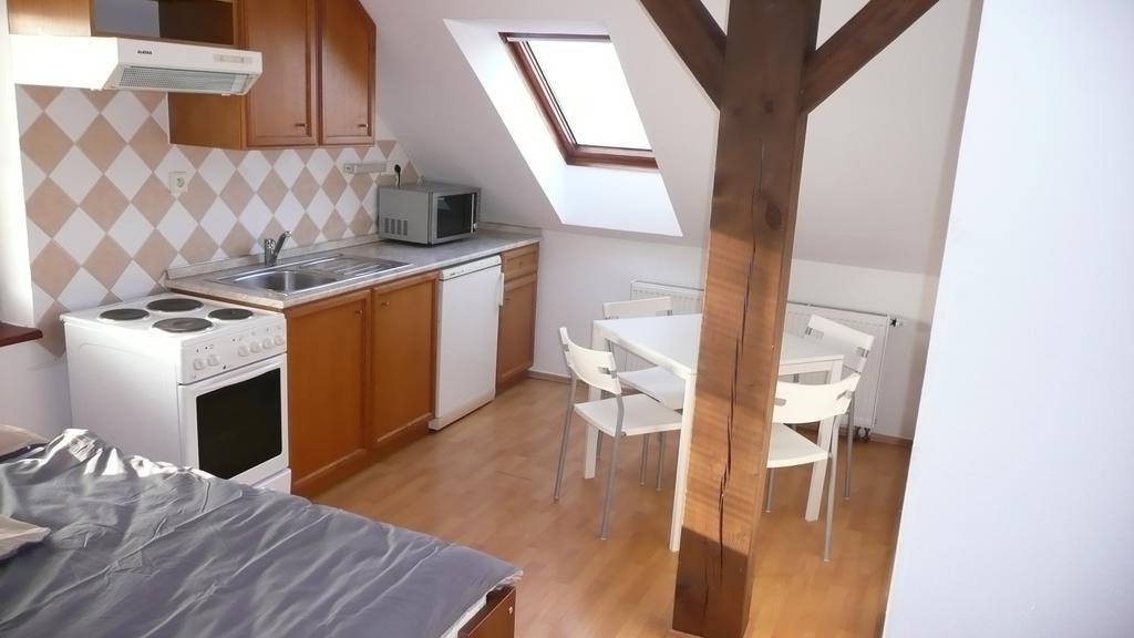 Apartments U Cara 捷克布杰约维采 客房 照片