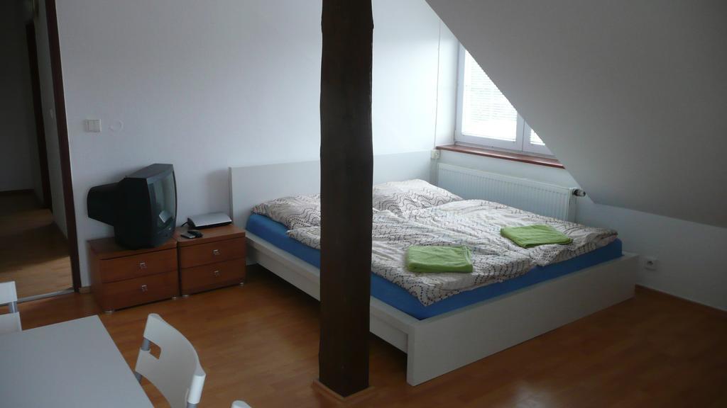 Apartments U Cara 捷克布杰约维采 外观 照片