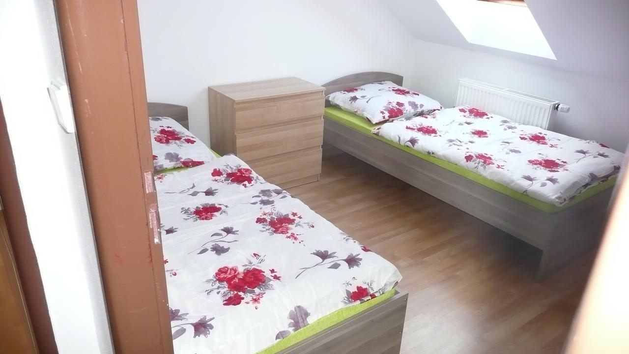Apartments U Cara 捷克布杰约维采 外观 照片